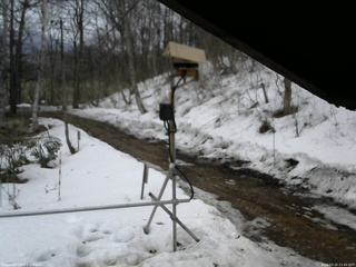 長野県菅平高原 ゆたか山荘 南側 2026/03/25 13:45