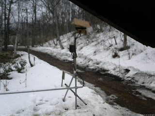 長野県菅平高原 ゆたか山荘 南側 2026/03/25 14:45