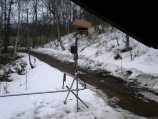 長野県菅平高原 ゆたか山荘 南側 2026/03/25 16:45