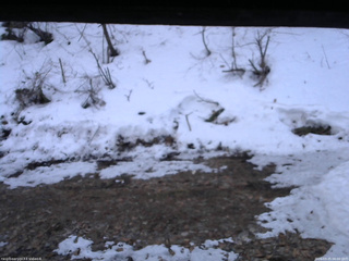 長野県菅平高原 ゆたか山荘 東側(坂下) 2026/03/25 06:00