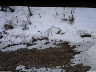 長野県菅平高原 ゆたか山荘 東側(坂下) 2026/03/25 06:15