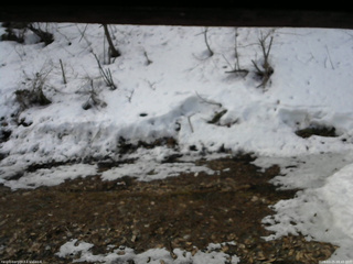 長野県菅平高原 ゆたか山荘 東側(坂下) 2026/03/25 08:45