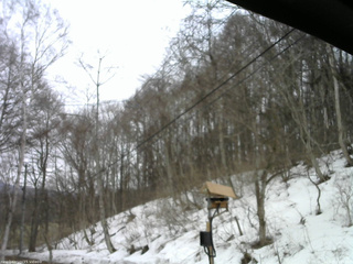 長野県菅平高原 ゆたか山荘 温度計 2026/03/25 12:15