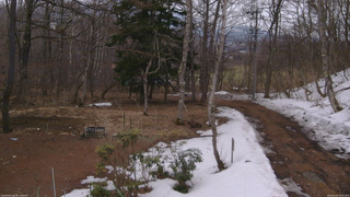 長野県菅平高原 ゆたか山荘 坂上 2026/03/25 13:15