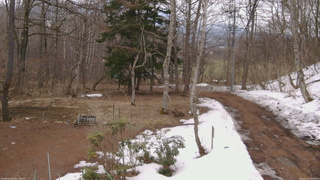 長野県菅平高原 ゆたか山荘 坂上 2026/03/25 13:30