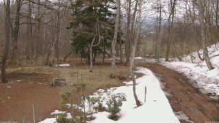 長野県菅平高原 ゆたか山荘 坂上 2026/03/25 14:00