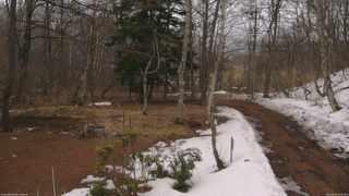 長野県菅平高原 ゆたか山荘 坂上 2026/03/25 14:15