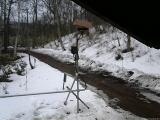 長野県菅平高原 ゆたか山荘 南側 2026/03/26 08:00