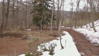 長野県菅平高原 ゆたか山荘 坂上 2026/03/26 10:30
