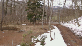 長野県菅平高原 ゆたか山荘 坂上 2026/03/26 12:30
