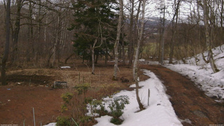 長野県菅平高原 ゆたか山荘 坂上 2026/03/26 12:45