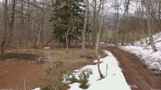 長野県菅平高原 ゆたか山荘 坂上 2026/03/26 13:45