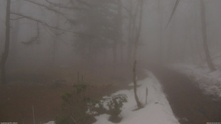 長野県菅平高原 ゆたか山荘 坂上 2026/03/26 16:00