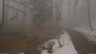 長野県菅平高原 ゆたか山荘 坂上 2026/03/26 16:45