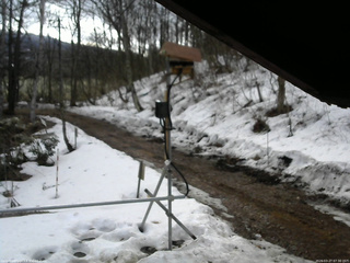 長野県菅平高原 ゆたか山荘 南側 2026/03/27 07:30