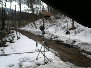 長野県菅平高原 ゆたか山荘 南側 2026/03/27 07:45
