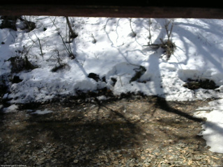 長野県菅平高原 ゆたか山荘 東側(坂下) 2026/03/27 10:45