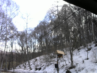 長野県菅平高原 ゆたか山荘 温度計 2026/03/27 12:30