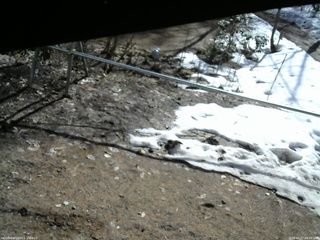 長野県菅平高原 ゆたか山荘 駐車場 2026/03/27 08:30