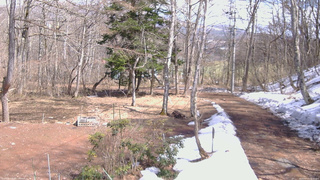 長野県菅平高原 ゆたか山荘 坂上 2026/03/27 13:00