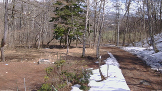 長野県菅平高原 ゆたか山荘 坂上 2026/03/27 13:15