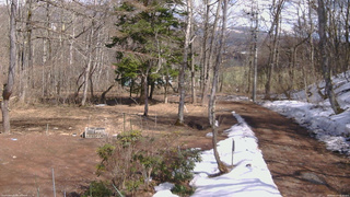 長野県菅平高原 ゆたか山荘 坂上 2026/03/27 13:30