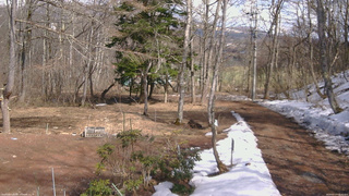 長野県菅平高原 ゆたか山荘 坂上 2026/03/27 13:45