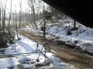 長野県菅平高原 ゆたか山荘 南側 2026/03/28 06:45