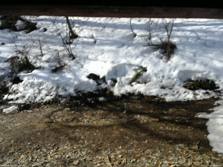 長野県菅平高原 ゆたか山荘 東側(坂下) 2026/03/28 08:00