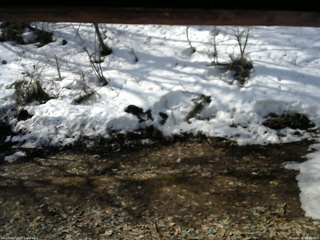 長野県菅平高原 ゆたか山荘 東側(坂下) 2026/03/28 08:45