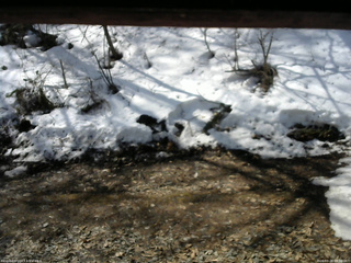 長野県菅平高原 ゆたか山荘 東側(坂下) 2026/03/28 09:30