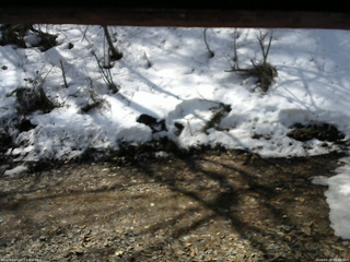 長野県菅平高原 ゆたか山荘 東側(坂下) 2026/03/28 09:45