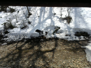 長野県菅平高原 ゆたか山荘 東側(坂下) 2026/03/28 11:45