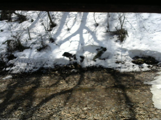 長野県菅平高原 ゆたか山荘 東側(坂下) 2026/03/28 12:00