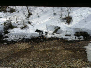 長野県菅平高原 ゆたか山荘 東側(坂下) 2026/03/28 14:30