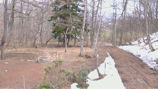 長野県菅平高原 ゆたか山荘 坂上 2026/03/28 13:00