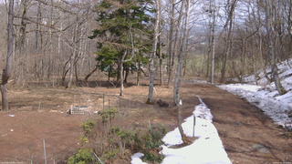 長野県菅平高原 ゆたか山荘 坂上 2026/03/28 13:15