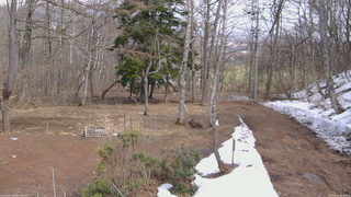 長野県菅平高原 ゆたか山荘 坂上 2026/03/28 13:30
