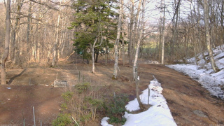 長野県菅平高原 ゆたか山荘 坂上 2026/03/28 16:00