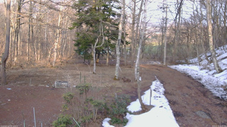 長野県菅平高原 ゆたか山荘 坂上 2026/03/28 16:30