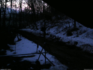 長野県菅平高原 ゆたか山荘 南側 2026/03/29 05:15