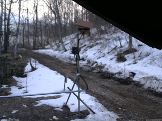 長野県菅平高原 ゆたか山荘 南側 2026/03/29 05:45