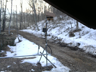 長野県菅平高原 ゆたか山荘 南側 2026/03/29 06:00