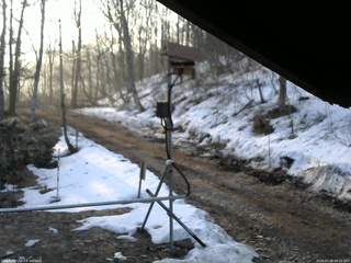 長野県菅平高原 ゆたか山荘 南側 2026/03/29 06:15