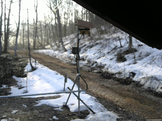 長野県菅平高原 ゆたか山荘 南側 2026/03/29 06:30