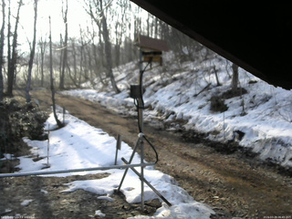 長野県菅平高原 ゆたか山荘 南側 2026/03/29 06:45