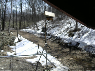 長野県菅平高原 ゆたか山荘 南側 2026/03/29 10:30