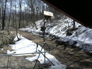 長野県菅平高原 ゆたか山荘 南側 2026/03/29 10:45