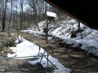 長野県菅平高原 ゆたか山荘 南側 2026/03/29 11:00