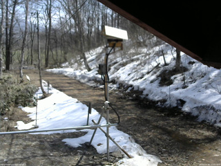 長野県菅平高原 ゆたか山荘 南側 2026/03/29 11:15